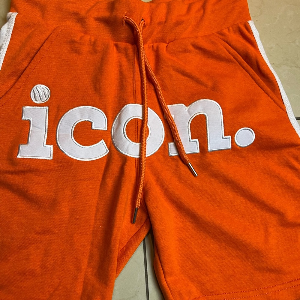 Icon